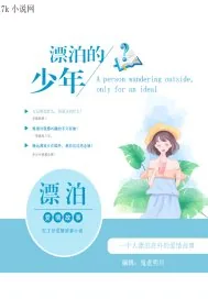 《漂泊的少年》小说封面