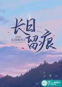 《长日留痕》小说封面