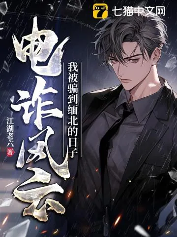 《电诈风云，我被骗到缅北的日子》小说封面