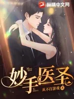 《妙手医圣》小说封面