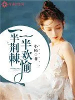 《一半荆棘，一半欢愉》小说封面