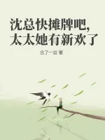 《沈总快摊牌吧，太太她有新欢了》小说封面