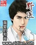 《野医》小说封面