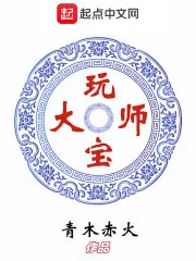 《玩宝大师》小说封面