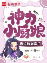 《港综：神力小厨娘，路边摊到豪门》小说封面