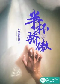 《半杯骄傲》小说封面
