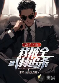 《高手下山：我被全武林追杀》小说封面