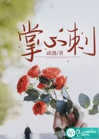 《掌心刺》小说封面