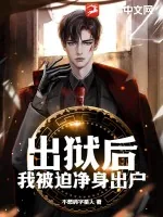 《出狱后，我被迫净身出户》小说封面
