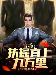《官场：扶摇直上九万里》小说封面