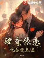 《肆意依恋，沈总轻点宠》小说封面