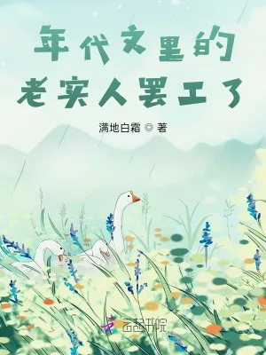《年代文里的老实人罢工了》小说封面