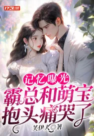 《记忆曝光：霸总和萌宝抱头痛哭了》小说封面
