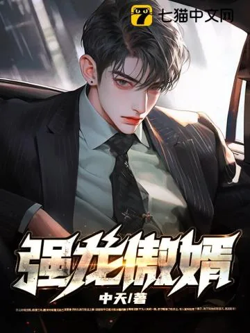 《强龙傲婿》小说封面