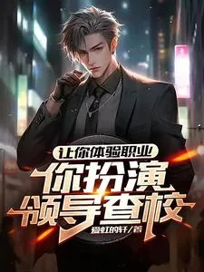 《让你体验职业，你扮演领导查校？》小说封面
