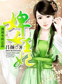《婢女王妃》小说封面