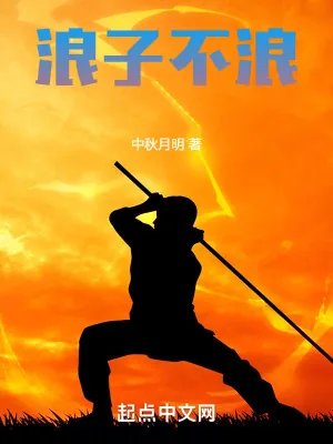 《浪子不浪》小说封面