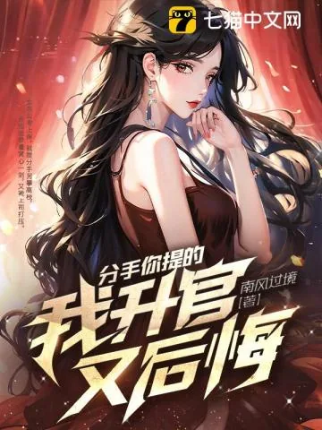 《分手你提的，我升官又后悔》小说封面