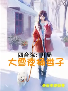 《四合院：开局大雪夜捅娄子》小说封面