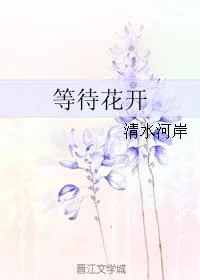 《等待花开》小说封面