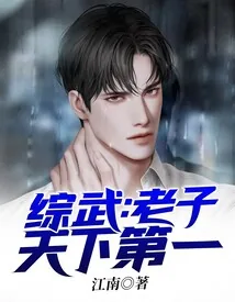 《综武：老子天下第一》小说封面