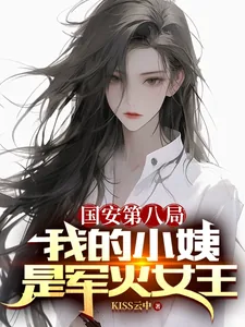 《国安第八局：我的小姨是军火女王》小说封面