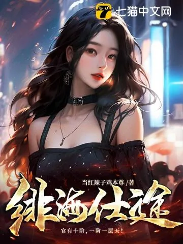 《绯海仕途》小说封面