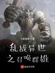 《乱战异世之召唤群雄》小说封面