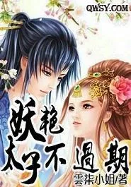 《妖艷太子不过期》小说封面