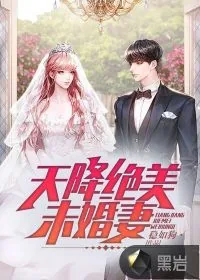 《天降绝美未婚妻》小说封面