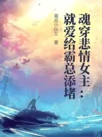 《魂穿悲情女主：就爱给霸总添堵》小说封面