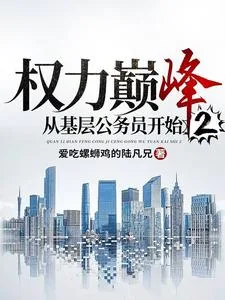 《权力巅峰：从基层公务员开始2》小说封面