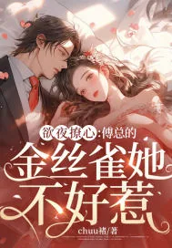 《欲夜撩心：傅总的金丝雀她不好惹》小说封面