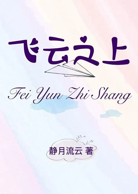 《飞云之上》小说封面