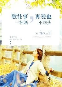 《敬往事一杯酒，再爱也不回头》小说封面