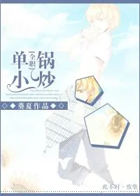 《[全职]单锅小炒》小说封面