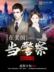 《在美国当警察的日子》小说封面