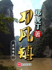 《刀风镇》小说封面