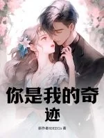 《你是我的奇迹》小说封面