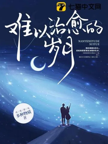 《难以治愈的岁月》小说封面