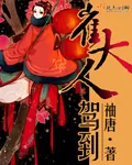 《崔大人驾到》小说封面