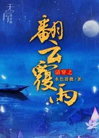 《清穿之翻云覆雨》小说封面