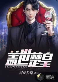 《盖世楚皇》小说封面