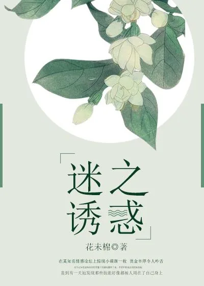《迷之诱惑》小说封面