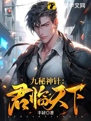 《九秘神针：君临天下》小说封面
