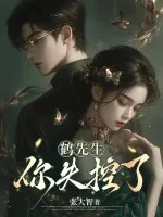 《鹤先生，你失控了》小说封面