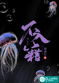 《不入籍》小说封面