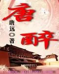 《唐醉》小说封面