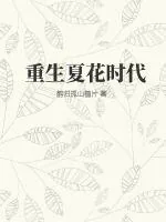 《重生夏花时代》小说封面