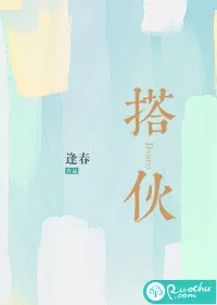 《搭伙》小说封面